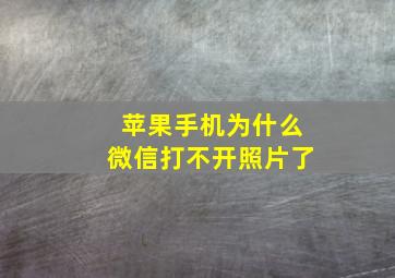 苹果手机为什么微信打不开照片了