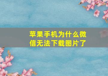 苹果手机为什么微信无法下载图片了