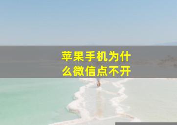 苹果手机为什么微信点不开