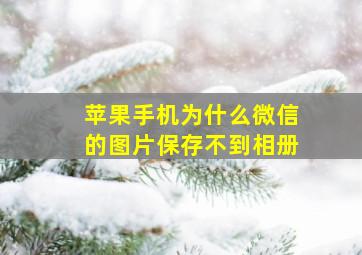 苹果手机为什么微信的图片保存不到相册