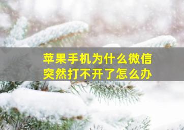 苹果手机为什么微信突然打不开了怎么办