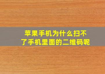 苹果手机为什么扫不了手机里面的二维码呢