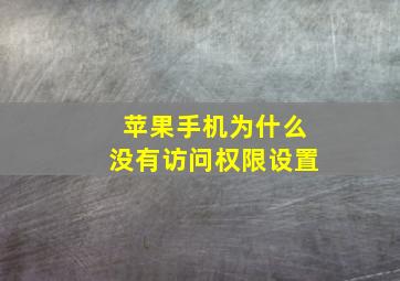 苹果手机为什么没有访问权限设置