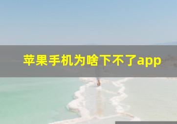 苹果手机为啥下不了app