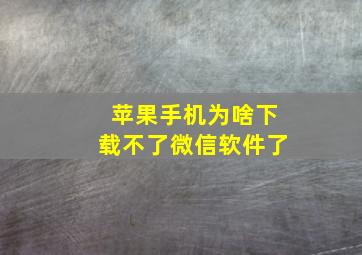 苹果手机为啥下载不了微信软件了