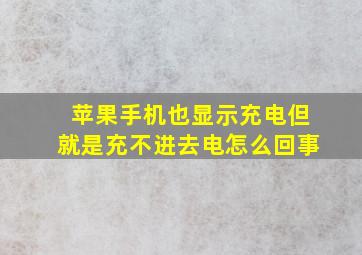 苹果手机也显示充电但就是充不进去电怎么回事