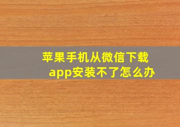 苹果手机从微信下载app安装不了怎么办