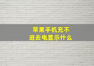 苹果手机充不进去电显示什么