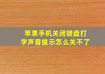 苹果手机关闭键盘打字声音提示怎么关不了