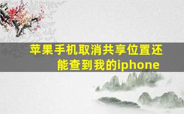 苹果手机取消共享位置还能查到我的iphone