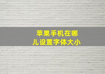 苹果手机在哪儿设置字体大小