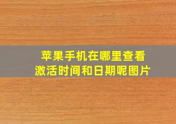 苹果手机在哪里查看激活时间和日期呢图片