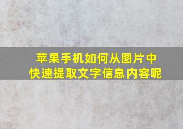 苹果手机如何从图片中快速提取文字信息内容呢