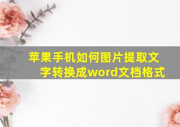 苹果手机如何图片提取文字转换成word文档格式