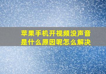 苹果手机开视频没声音是什么原因呢怎么解决