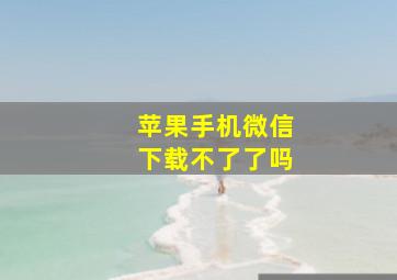 苹果手机微信下载不了了吗