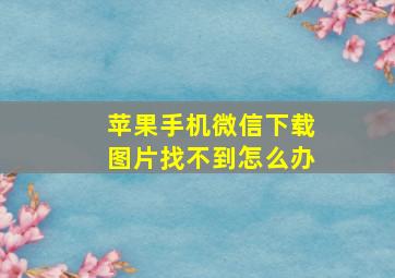 苹果手机微信下载图片找不到怎么办