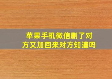 苹果手机微信删了对方又加回来对方知道吗