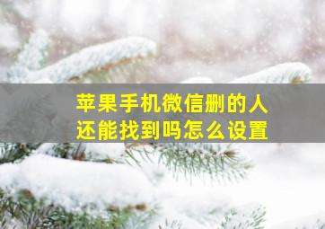 苹果手机微信删的人还能找到吗怎么设置