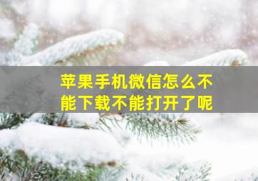 苹果手机微信怎么不能下载不能打开了呢