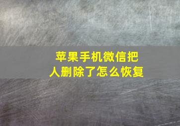 苹果手机微信把人删除了怎么恢复