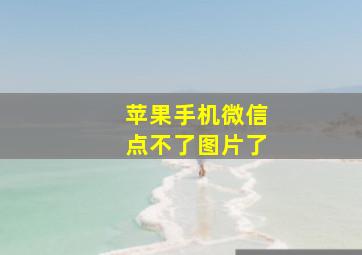 苹果手机微信点不了图片了