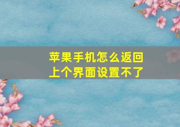 苹果手机怎么返回上个界面设置不了