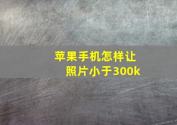 苹果手机怎样让照片小于300k