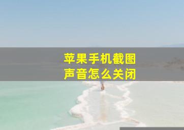 苹果手机截图声音怎么关闭