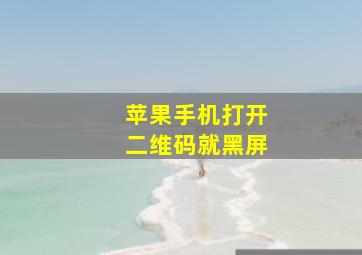 苹果手机打开二维码就黑屏