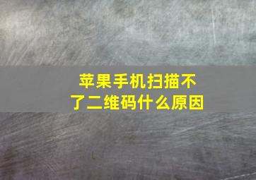 苹果手机扫描不了二维码什么原因