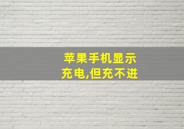 苹果手机显示充电,但充不进