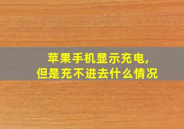 苹果手机显示充电,但是充不进去什么情况