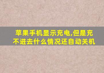 苹果手机显示充电,但是充不进去什么情况还自动关机