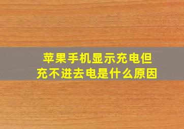 苹果手机显示充电但充不进去电是什么原因