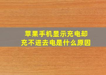 苹果手机显示充电却充不进去电是什么原因