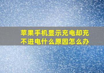 苹果手机显示充电却充不进电什么原因怎么办