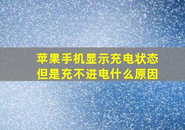 苹果手机显示充电状态但是充不进电什么原因