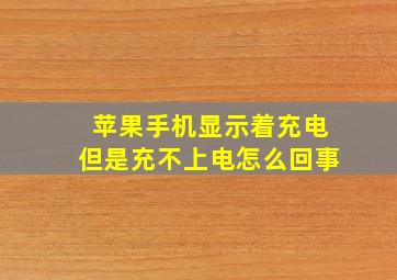 苹果手机显示着充电但是充不上电怎么回事