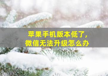 苹果手机版本低了,微信无法升级怎么办