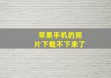 苹果手机的照片下载不下来了