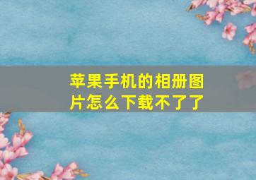 苹果手机的相册图片怎么下载不了了