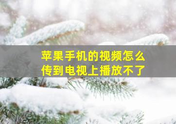 苹果手机的视频怎么传到电视上播放不了