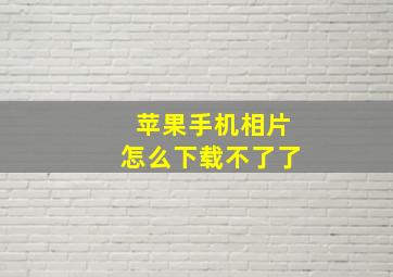 苹果手机相片怎么下载不了了