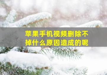 苹果手机视频删除不掉什么原因造成的呢