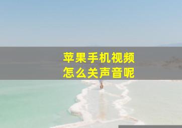 苹果手机视频怎么关声音呢