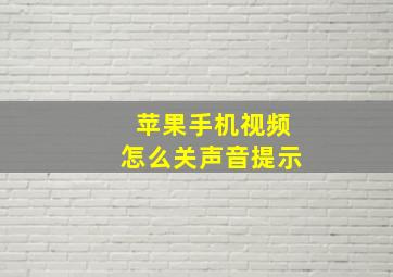 苹果手机视频怎么关声音提示