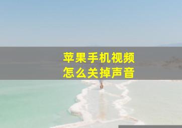 苹果手机视频怎么关掉声音