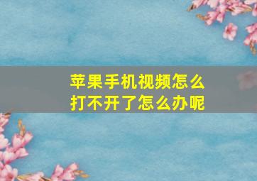 苹果手机视频怎么打不开了怎么办呢