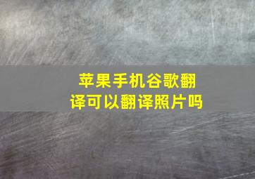 苹果手机谷歌翻译可以翻译照片吗